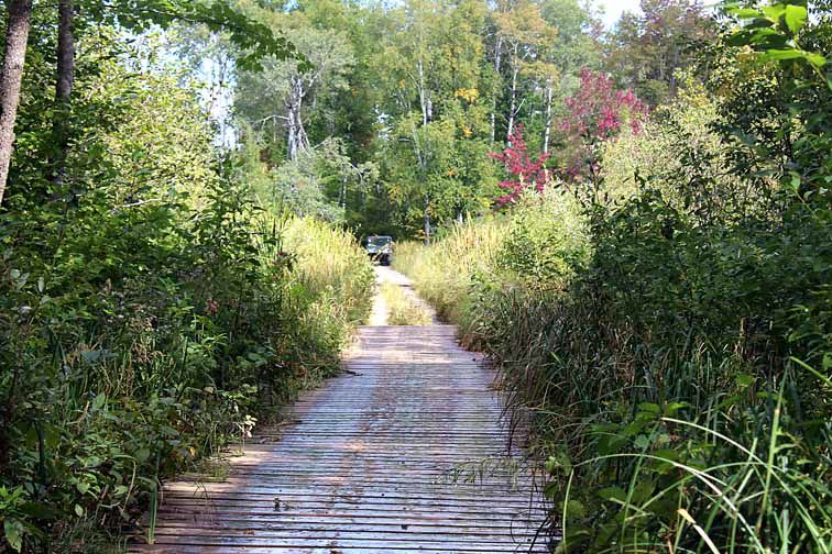 Puncheon bridges